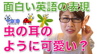 バイリンガール英会話【#207】面白い英語 ☆ 虫の耳のように可愛い？