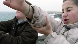 Trailer bande-annonce
