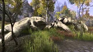 Обзор - Первые впечатления - The Elder Scrolls Online / Ролики Обзор - Первые впечатления - The Elder Scrolls Online / Ролики