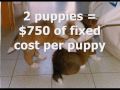 Episode 22: Fixed and Variable Costs