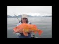 Seward Alaska Halibut Fishing