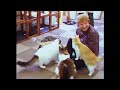 Ed Sheeran - Photograph (Official Music Video)