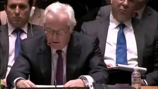 Выступление В.Чуркина в СБ ООН по Украине