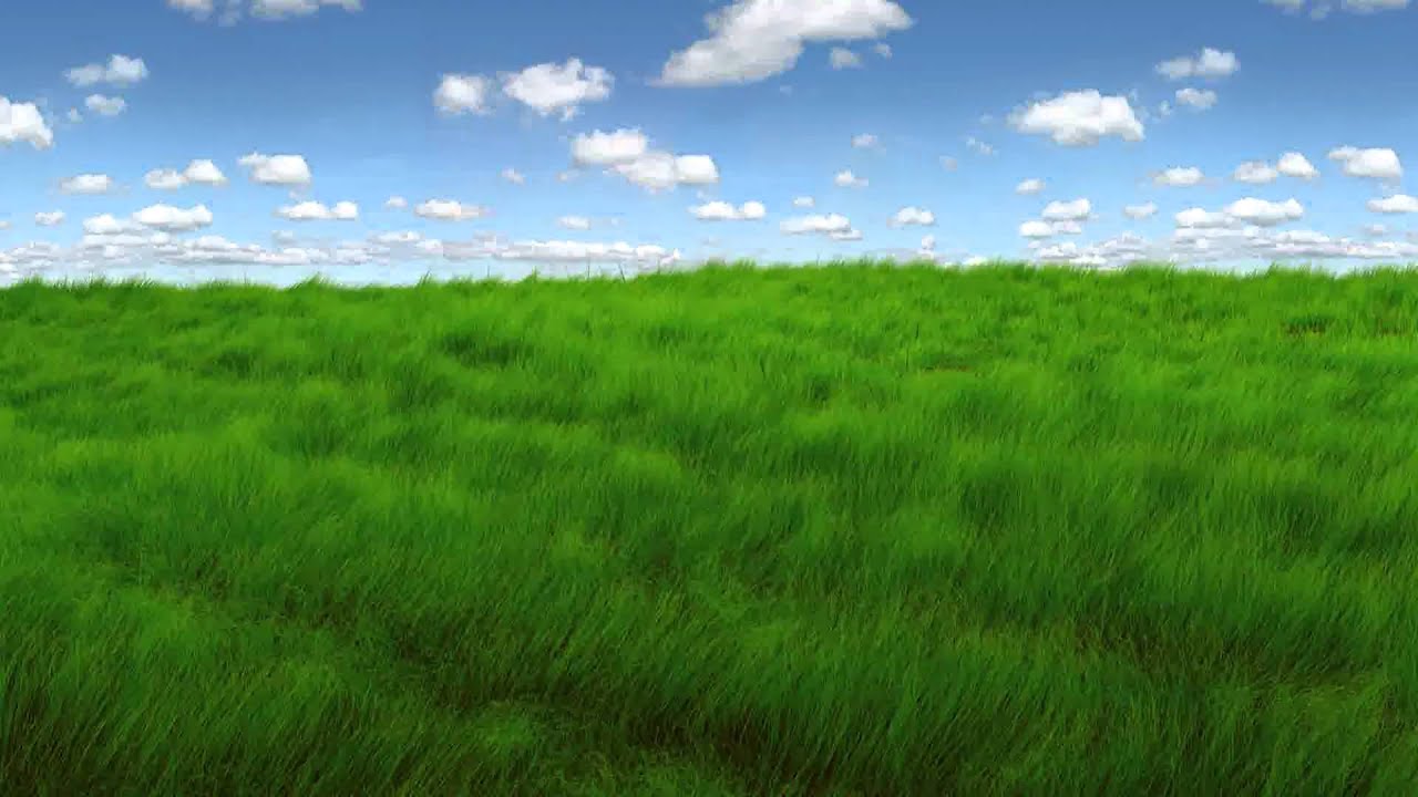 animated grass - YouTube