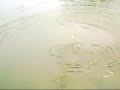 RC Helicopter FISHING! Dave tries hand at