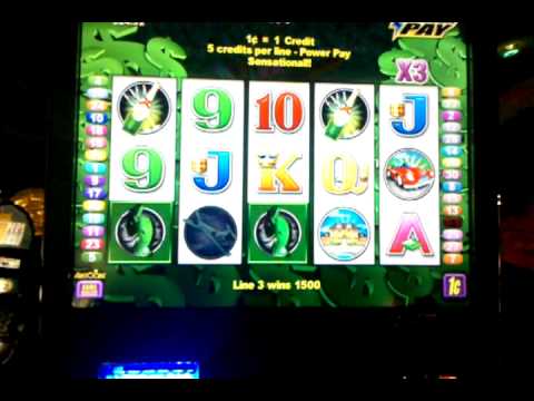 money tree slot machine download