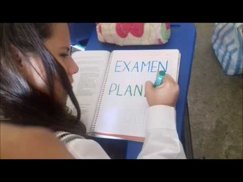 Examen Planea 2016
