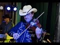 Summerfly - FRANK SILVER - Witry les Reims - Hayley Westerna cover