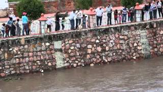 Rescate del perro del rio San Juan