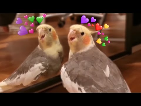 When you finally meet someone as beautiful as you 9
