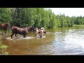 Baignade au petit Lac de Lennon 1 Juillet 2012