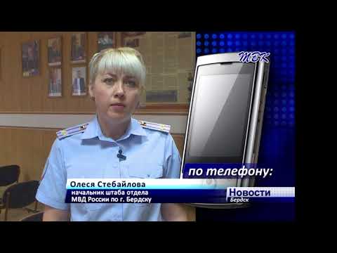 Бердские дачники задержали грабителя