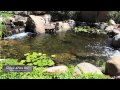 Ponds Ponds