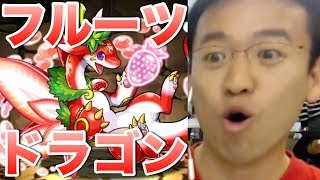 【パズドラ】フルドラダンジョン！あなたは何色にする？