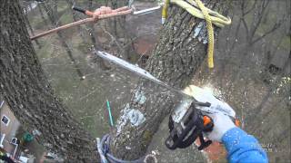 Climbing 90 ft. Ash removal