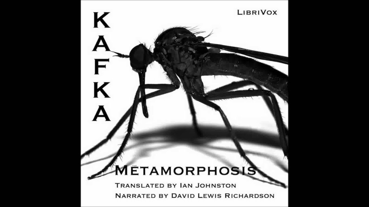 kafka metamorphosis