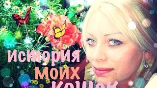 МОИ 5  КОШЕК и СОБАКА С ПРИЮТА.