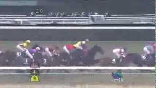 H26 第49回京都牝馬ステークス(GIII) / ウリウリ 浜中 俊 【競馬】