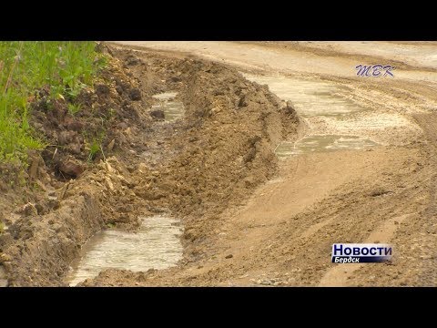 Бердчане вновь идут к своим дачам пешком
