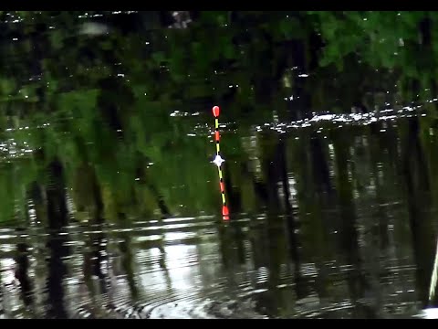 Пробка для карася Пробка для карася