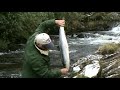 Kylemore Fishing Ireland