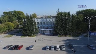 Увеличен объем субвенции на организацию отлова и содержание безнадзорных животных