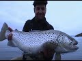 Monster Trout in Iceland, fly fishing in Iceland.