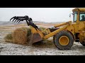 Feeding Cows during the long winter