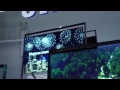 Samsung Ultra High Definition TV, The S9 UHD | TechCrunch At CES 2013