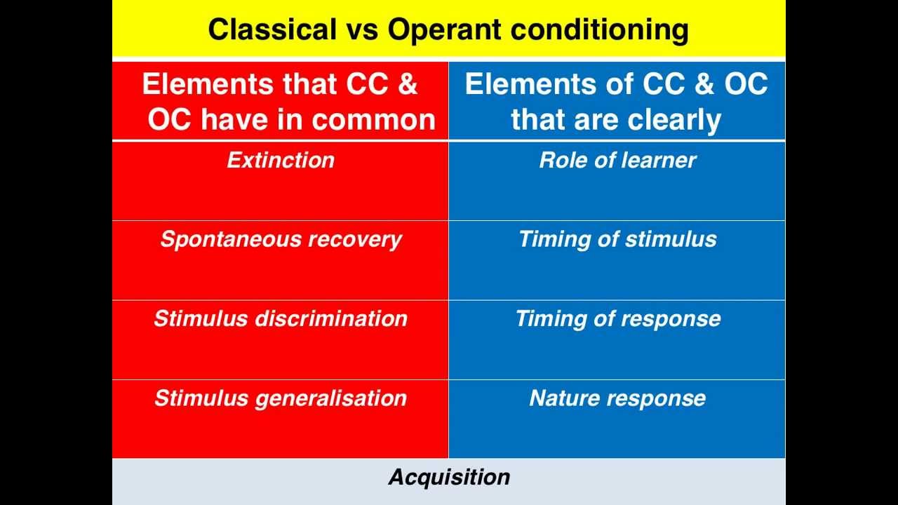 Classical vs Operant condioning - VCE U4 Psychology - YouTube