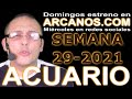 Video Horscopo Semanal ACUARIO  del 11 al 17 Julio 2021 (Semana 2021-29) (Lectura del Tarot)