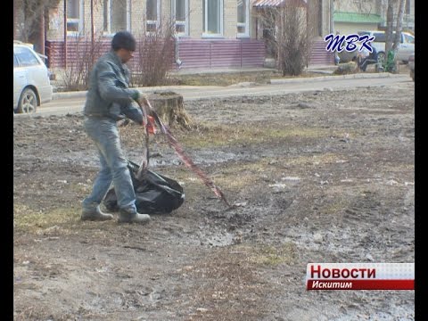 В ближайшее время искитимцы выйдут на субботник
