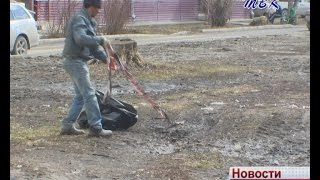 В ближайшее время искитимцы выйдут на субботник