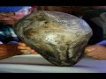 Mexican Government Disclose Alien Artifacts