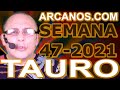 Video Horscopo Semanal TAURO  del 14 al 20 Noviembre 2021 (Semana 2021-47) (Lectura del Tarot)