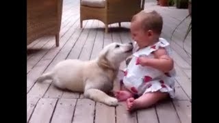 Squeaky toddler getting more from the Golden Retriever than she asked for