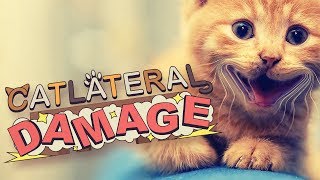 GATO DESTRUIDOR DE QUARTOS! - CatLateral Damage