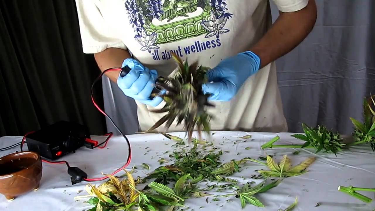 Bonsai Hero electric hand held trimmers YouTube