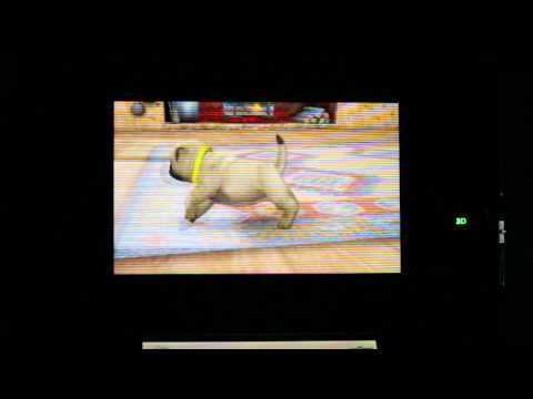 nintendogs + cats - Buying and Playing with Toys Gameplay Footage for Nintendo 3DS