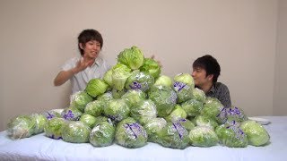 レタス100玉食ってみた　I eat 100 lettuce