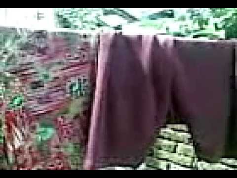 Ngintip Ayam Kampus Mandi.3gp - YouTube