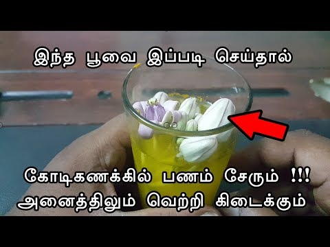 Download இந்த பூவை இப்படி செய்தால் கோடீஸ்வரர் ஆகலாம் - vasiyam sarvalogam - manthrigam - money attraction
