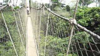 Kakum National Park Canopy Walk - Scared of Heights? (1st Person)