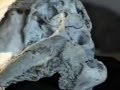 Alien Skull Found in Bulgaria By MR.TSENKO SIMEONOV