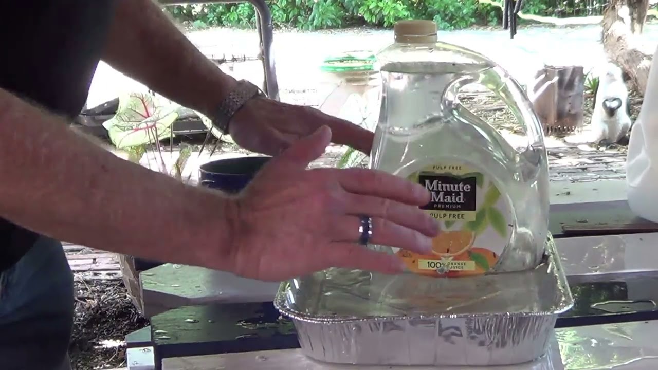 Homemade Pet Water Feeder YouTube