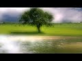 Johann Strauss Wiener Walzer An der schönen blauen Donau (Viennese Waltz) The Blue Danube Waltz