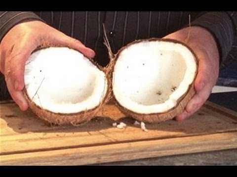 coconut crack open fresh easily cut opening easy