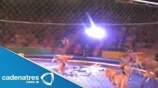 León ataca a domador de circo en Ucrania / Lion attacks tamer in Ukraine