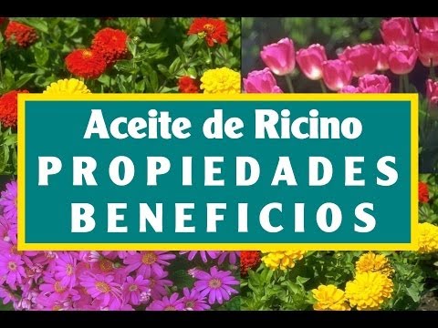 Pueden caer los cabellos de por la psoriasis sobre la cabeza