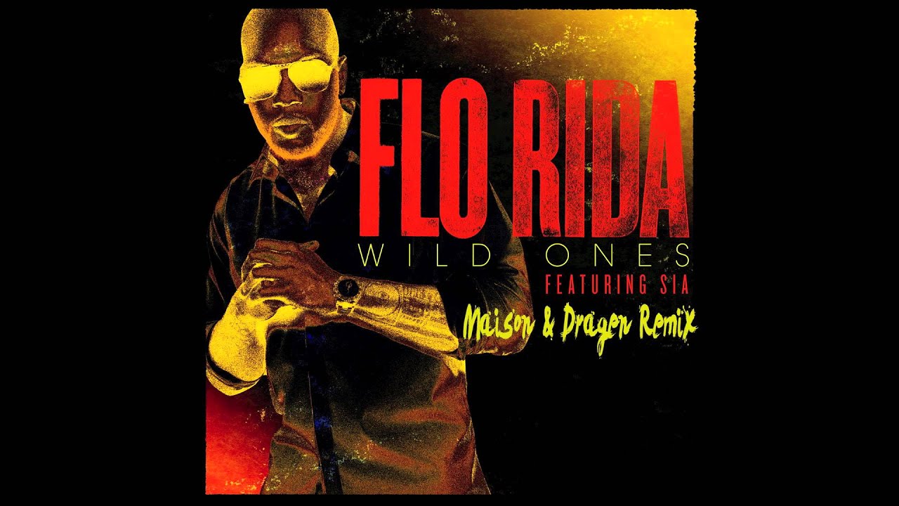 Sia Flo Rida Wild Ones Zippy
